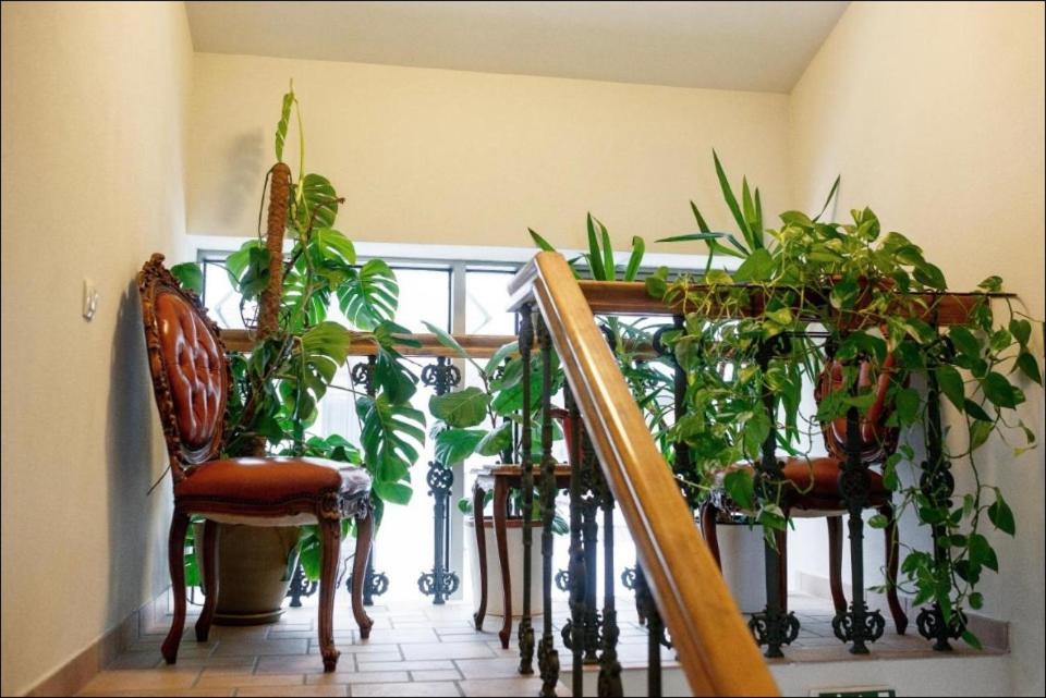Apartment Senamiescio Inkaras クライペダ エクステリア 写真